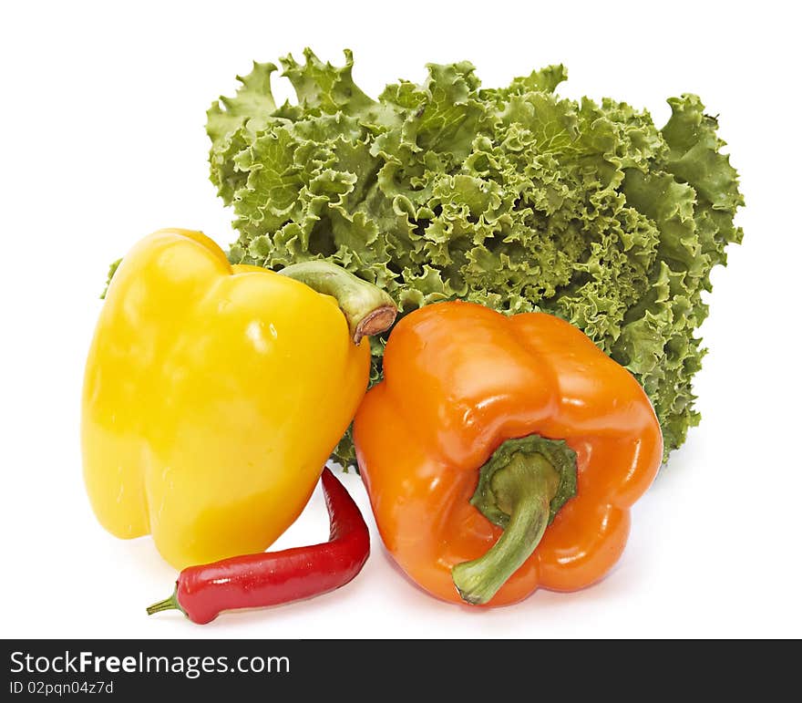 Vegetables isolated on a white background