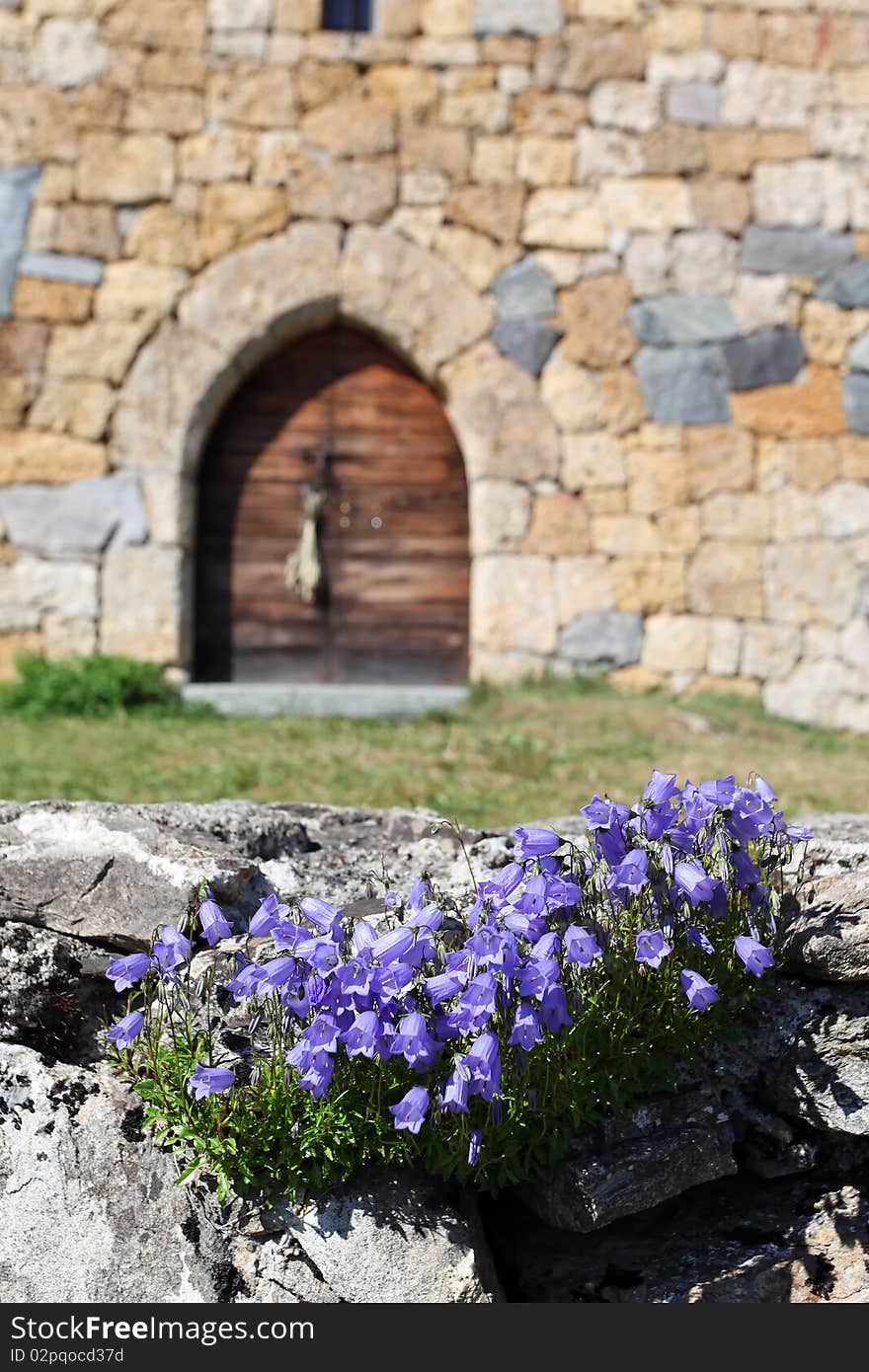 Chapel and flowers