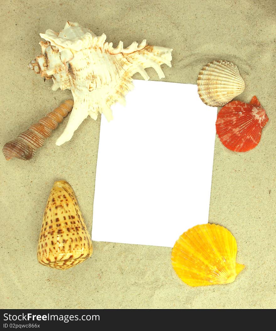 Beach concept with blank postcard with free space for your text