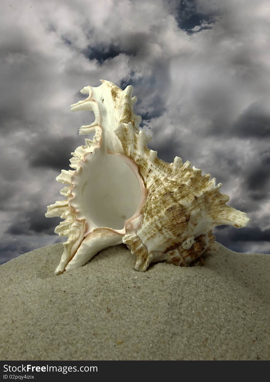 Beach concept with shell and dark clouds on background. Beach concept with shell and dark clouds on background