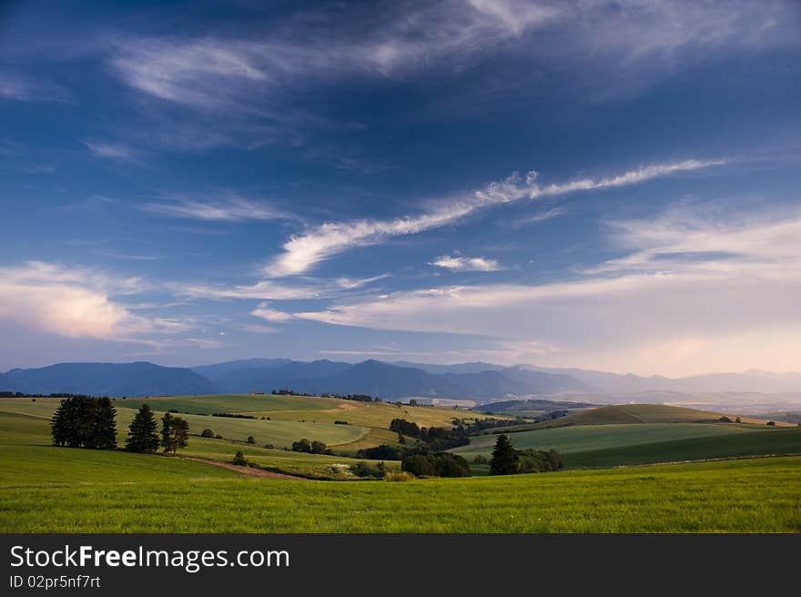 Meadows in sunset