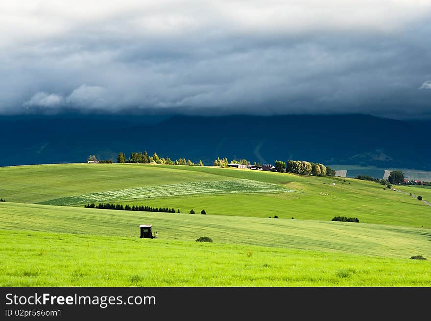 Meadows in evening