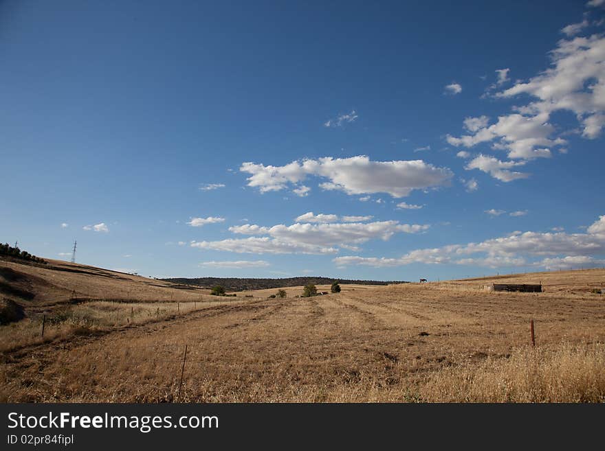 Andalusian landscape