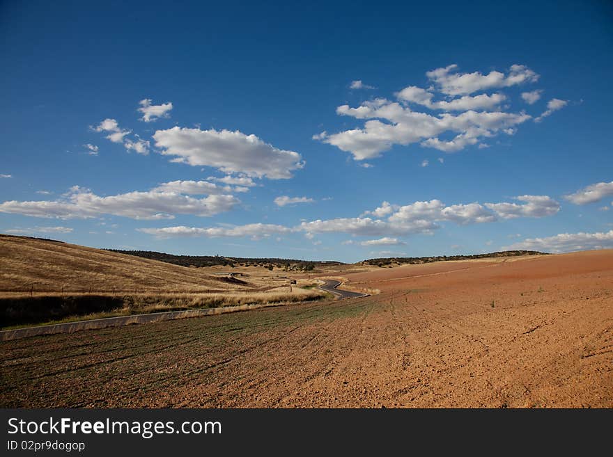 Road crossing an Andalusian landscape