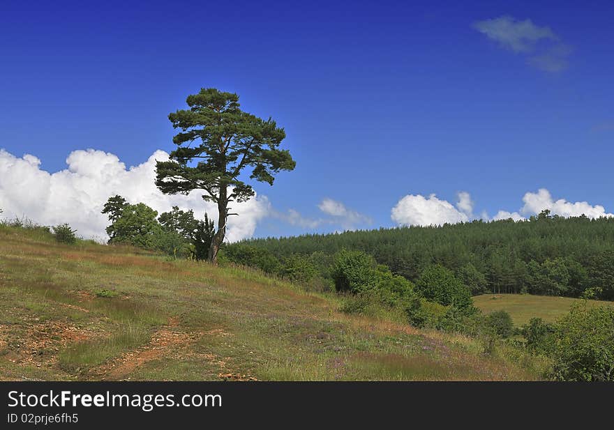 Beautiful view on Rhodope mountains from Bulgaria, Europe. Beautiful view on Rhodope mountains from Bulgaria, Europe