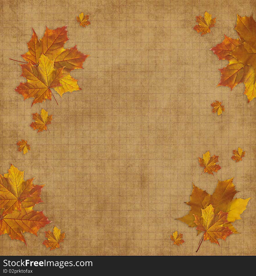 Autumn card for the holiday  with leave and flowers on the abstract background