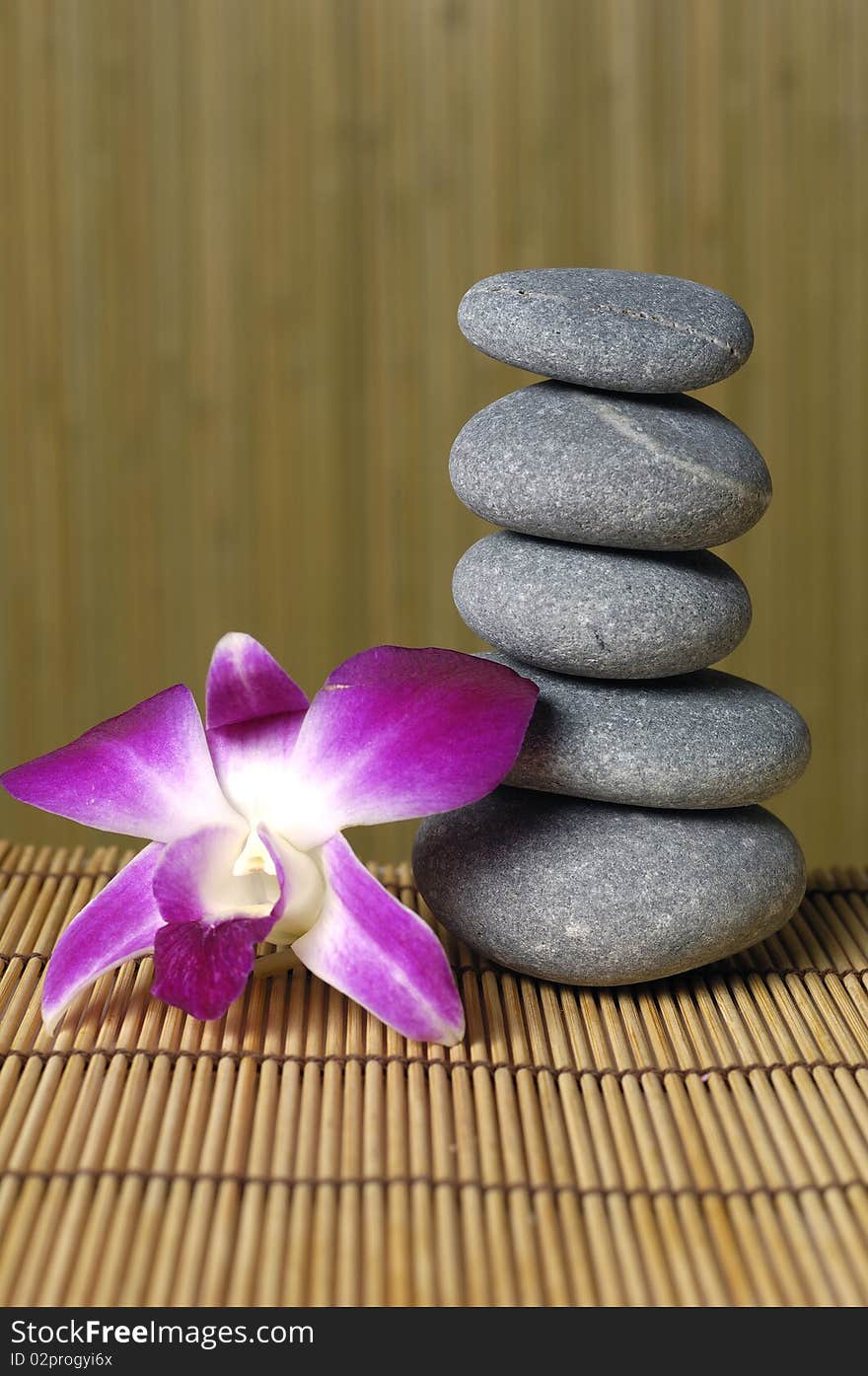 Pink orchid and stones on a brown backdrop. Pink orchid and stones on a brown backdrop