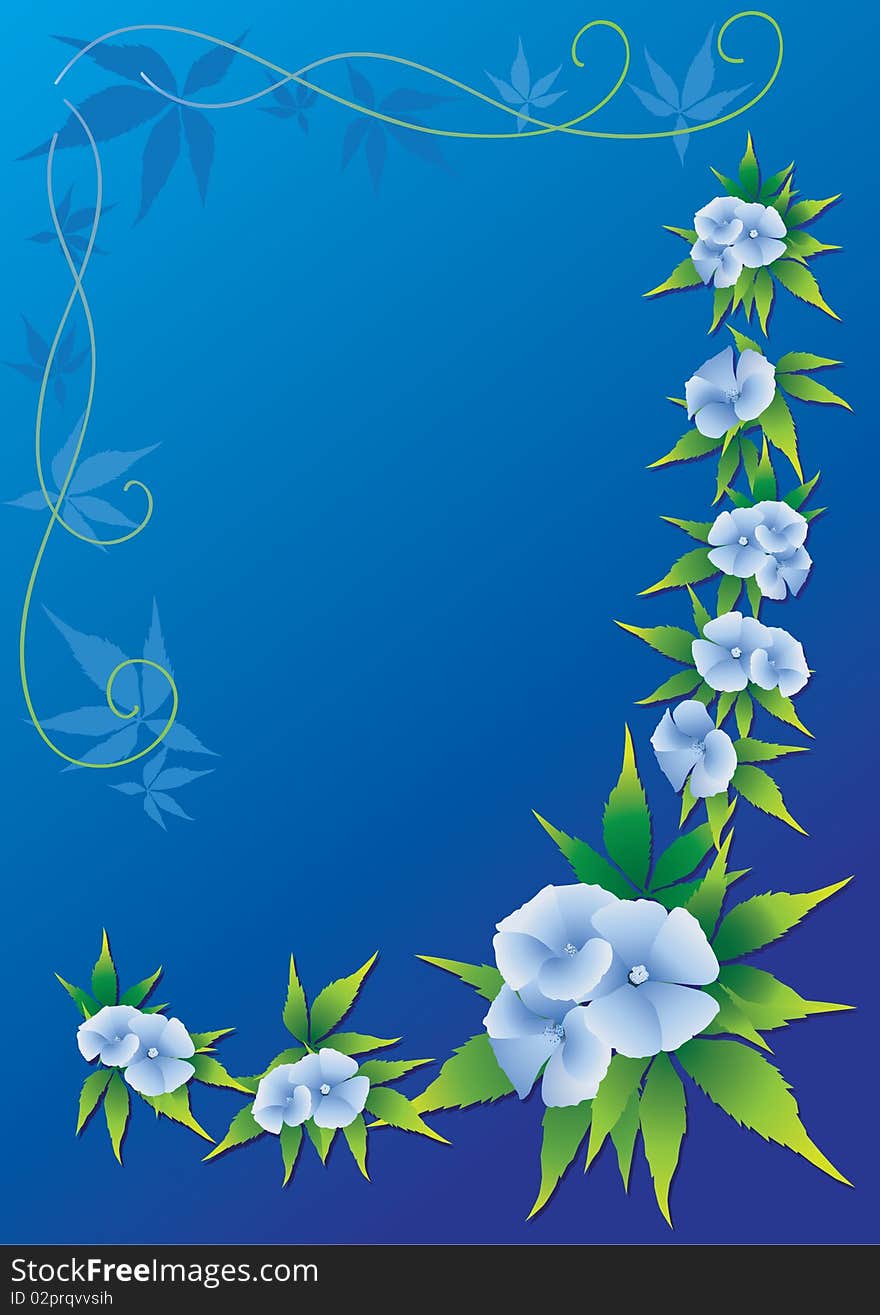 Blue flowers