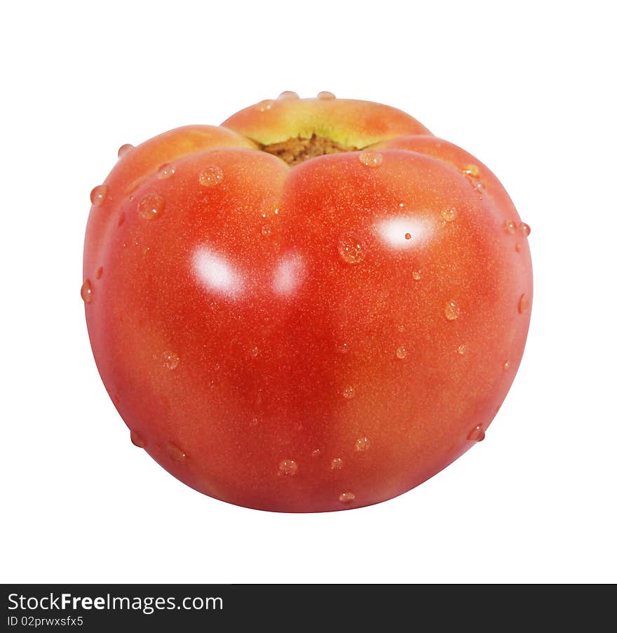 Single tomato isolated on white background. Single tomato isolated on white background