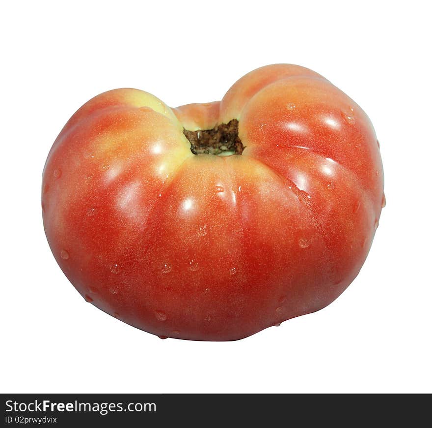 Single tomato isolated on white background. Single tomato isolated on white background