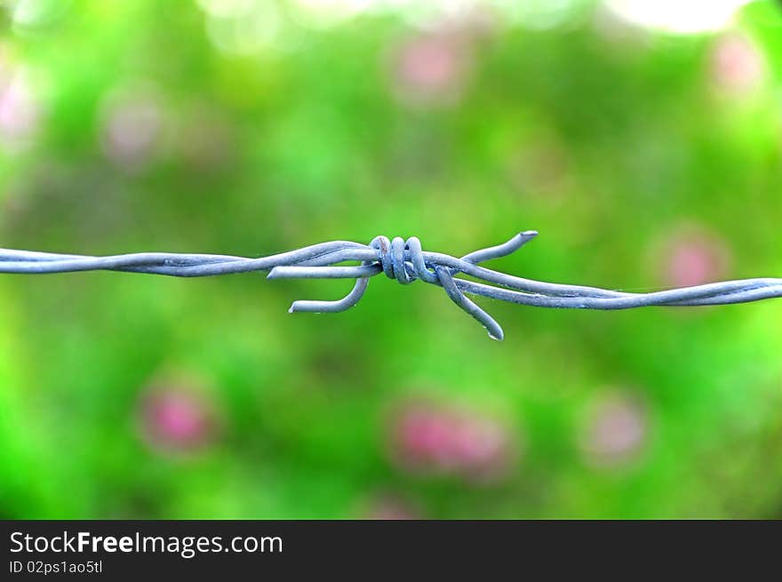 Close up barb wire line.