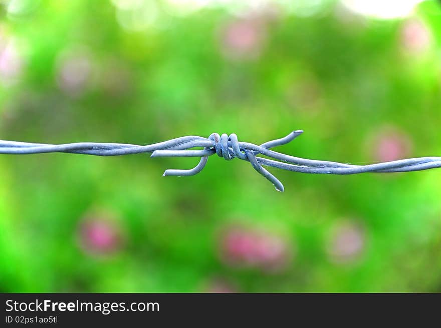 Barb wire