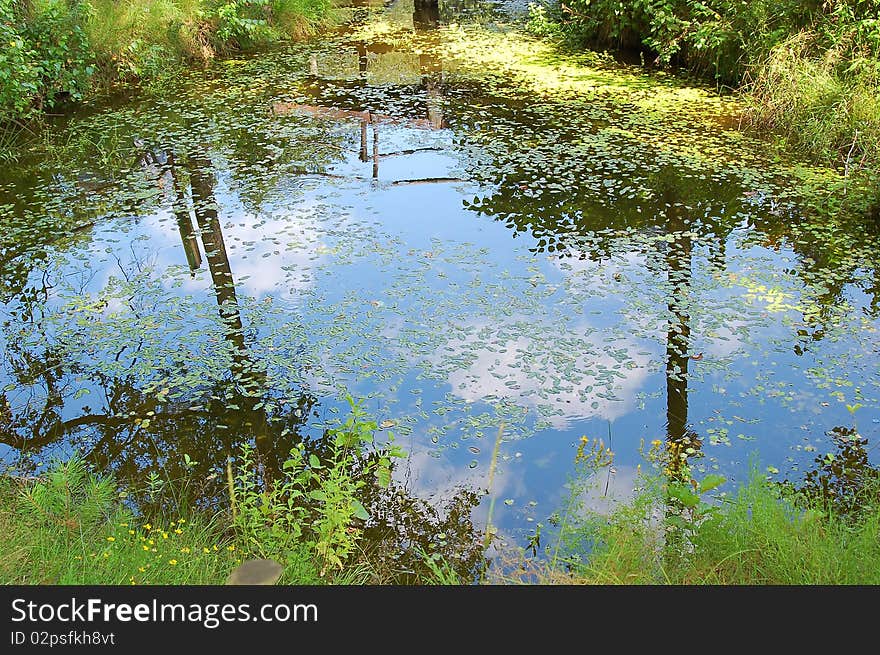 Blue sky is reflected in pond