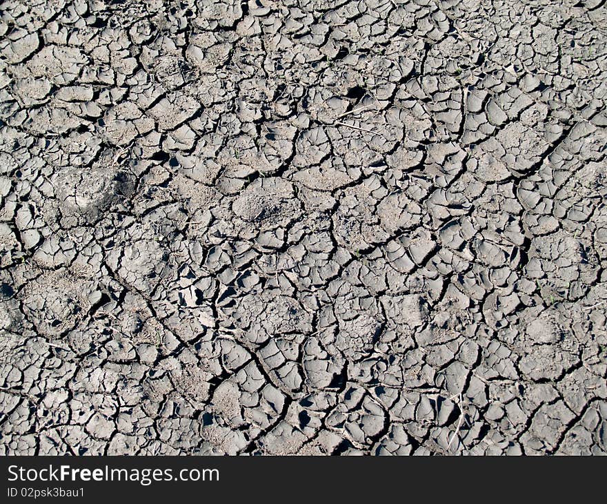 Ground cracked by summer drought. Ground cracked by summer drought