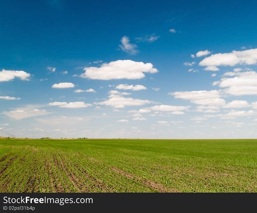 Green field blue sky with clouds