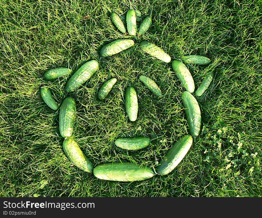 Cucumbers