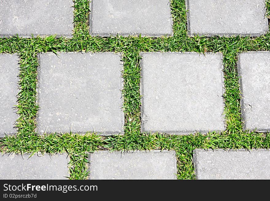 Grass betreen stones on pavement