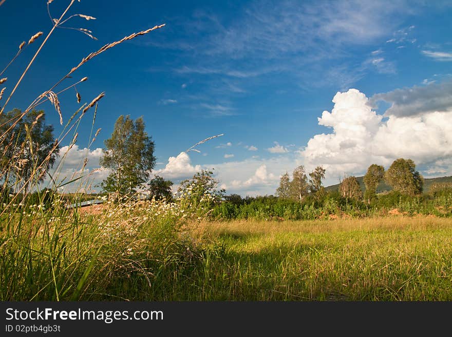 Blue sky over green field