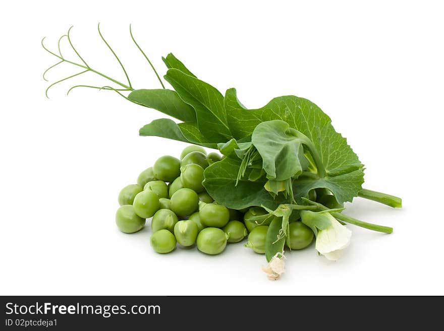 Green pea with blossom isolated on white