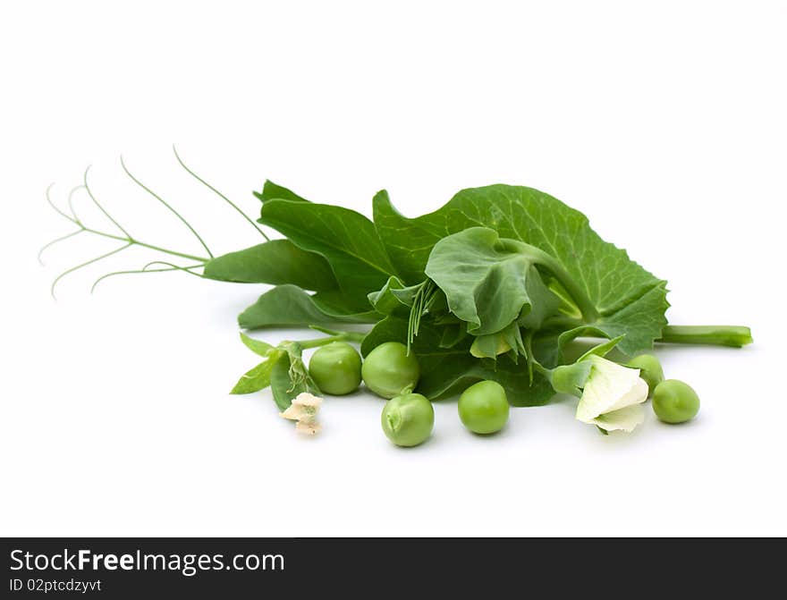 Green pea with blossom isolated on white