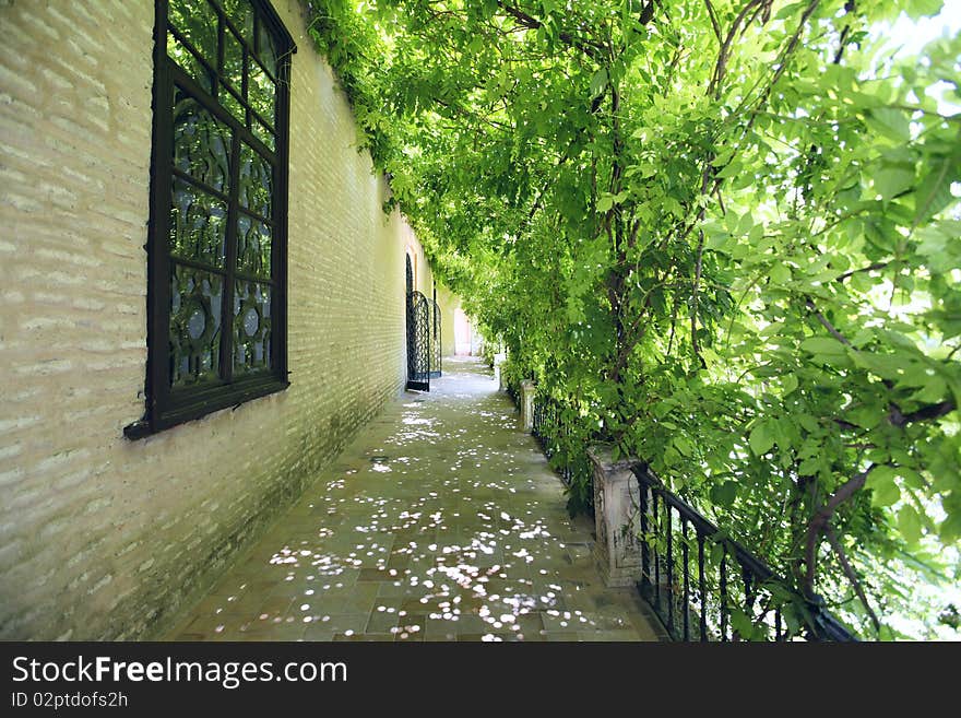 Gardens of the Alcazar, Seville