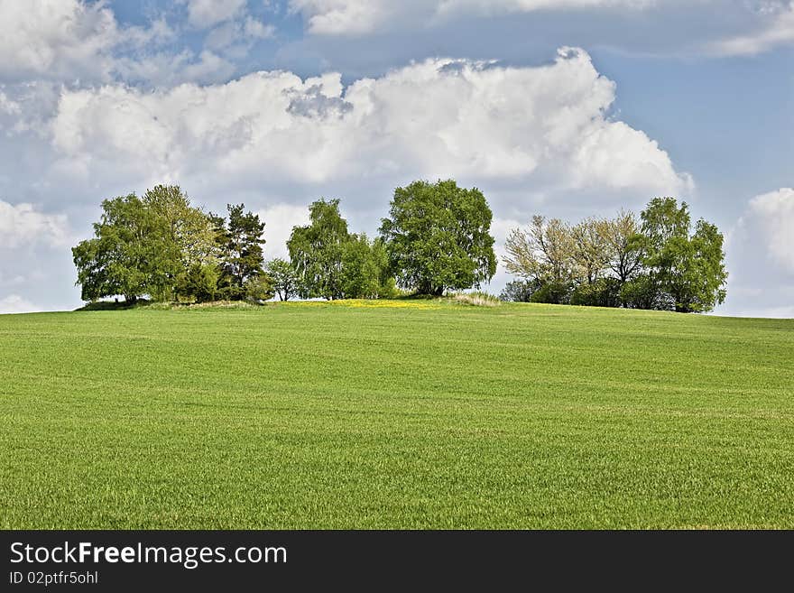 Spring lanscape