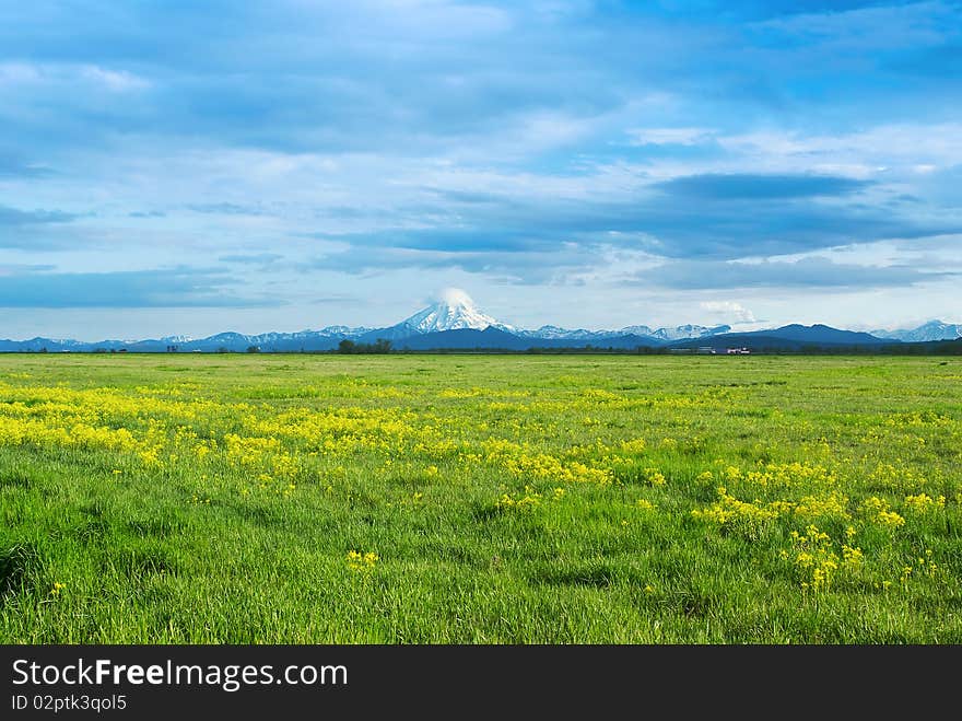 Green grassy field with yellow flowers against the evening sky and cloud volcano. Green grassy field with yellow flowers against the evening sky and cloud volcano