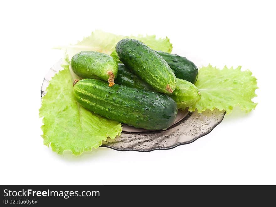 Fresh cucumbers on plate with green lettuce