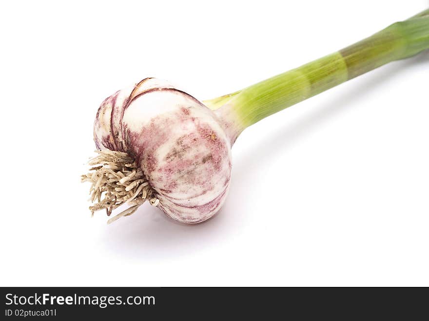 Garlic isolated on white background