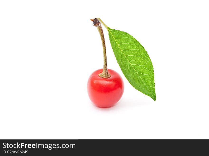 Fresh Cherry Fruit