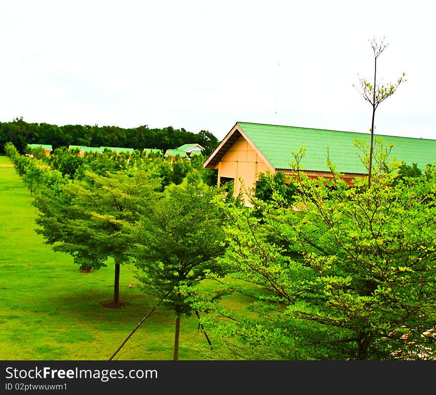 the landscape of botanical farmland