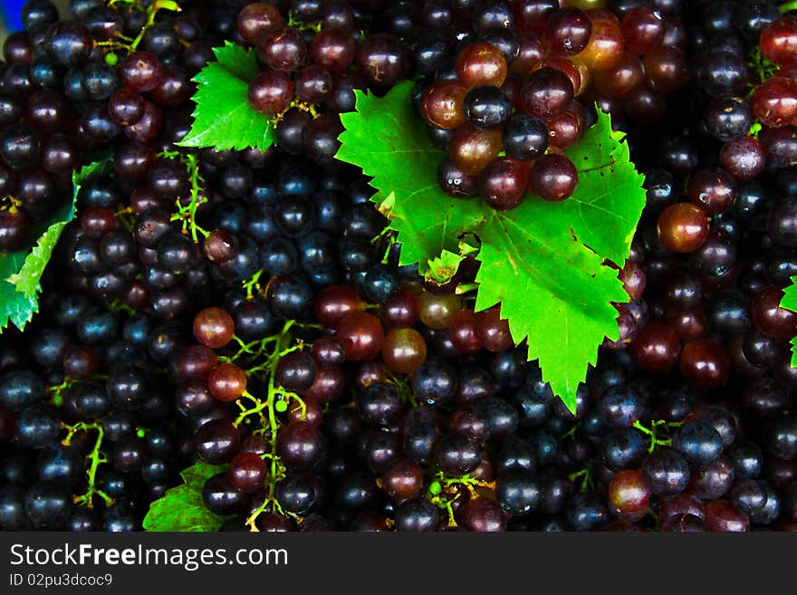 Grape seedless is a develop by Thai's farmer