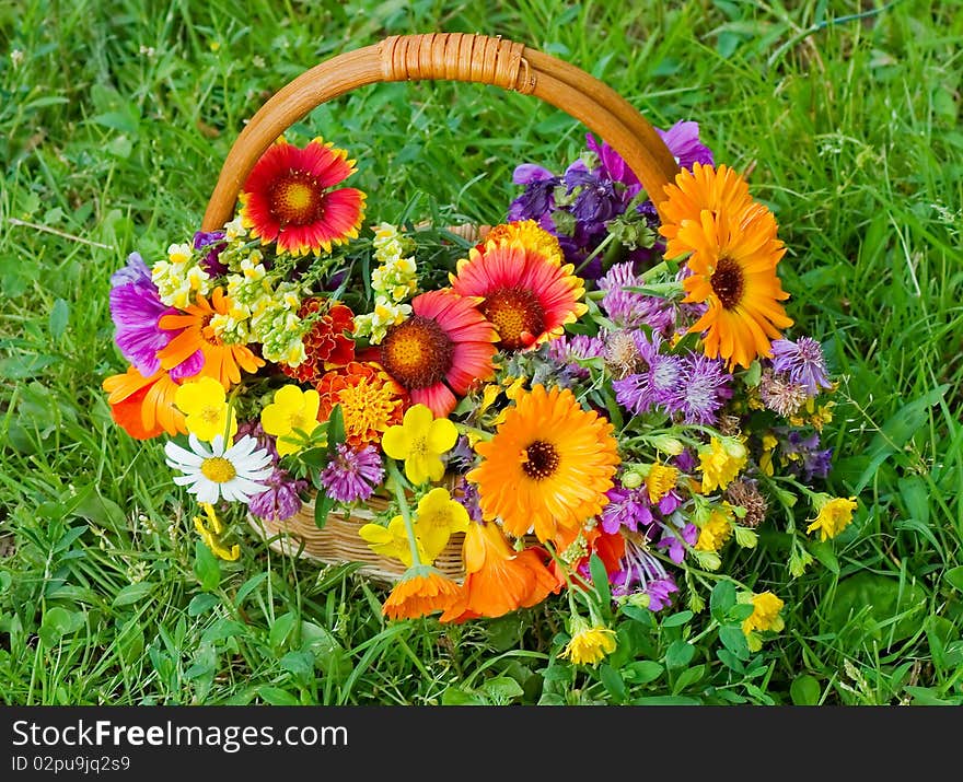 Beautiful flowers in a basket close up