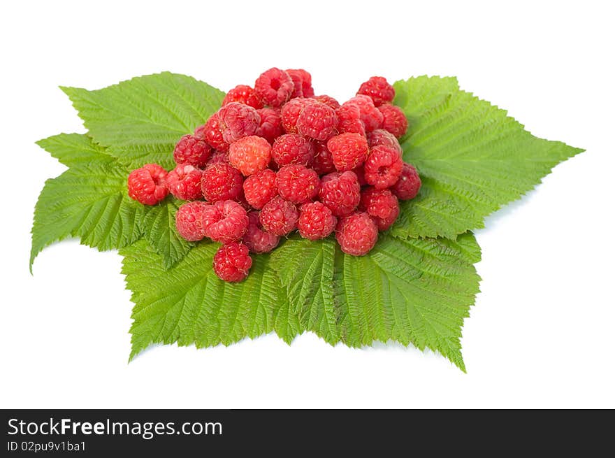 Fresh raspberry isolated over white