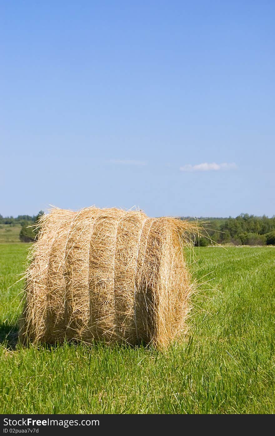 Haystacks harvest against the skies nature background