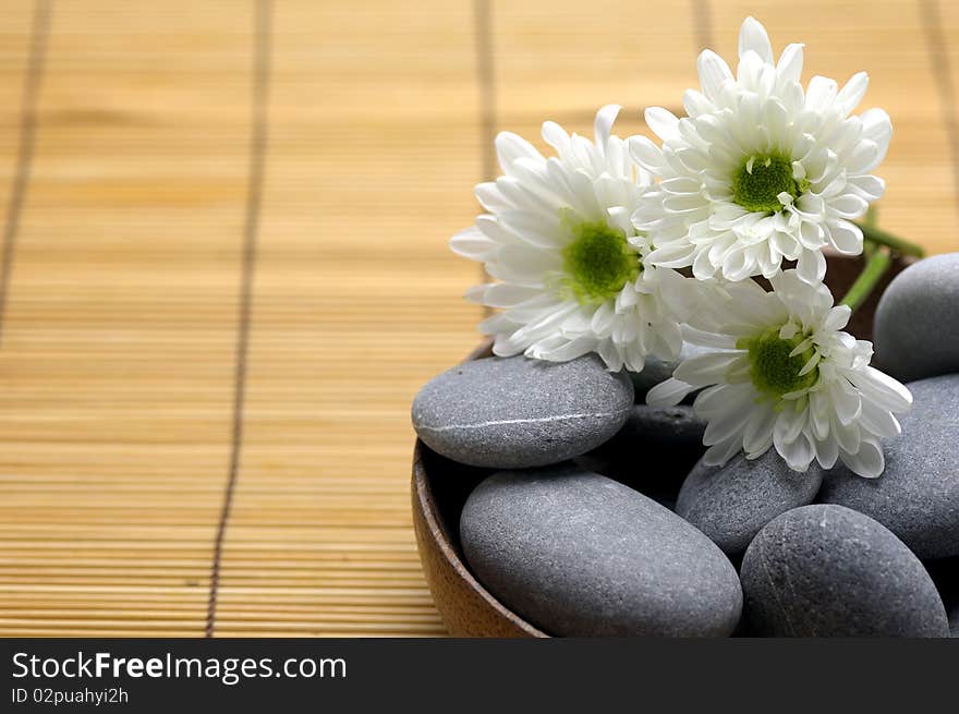 Gray stones and chrysanthemums flowers. Gray stones and chrysanthemums flowers