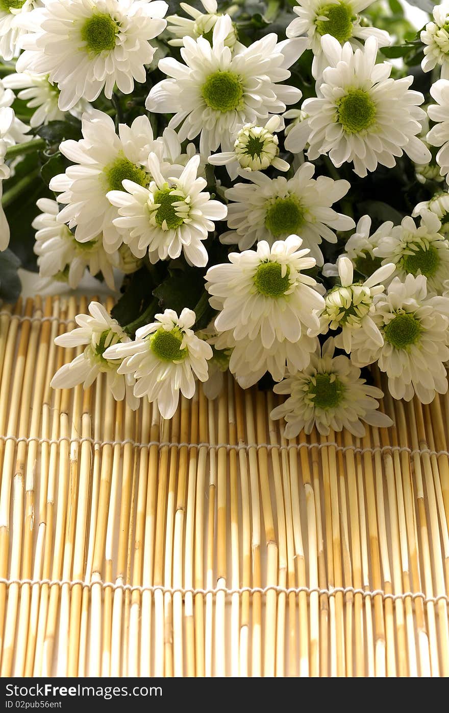 Bowl of Chrysanthemums flowers on bamboo mat