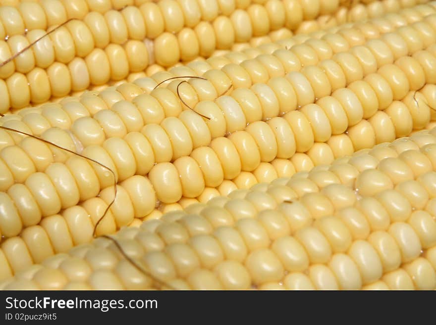 Corn close-up