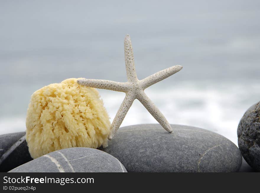 Starfish With Stones