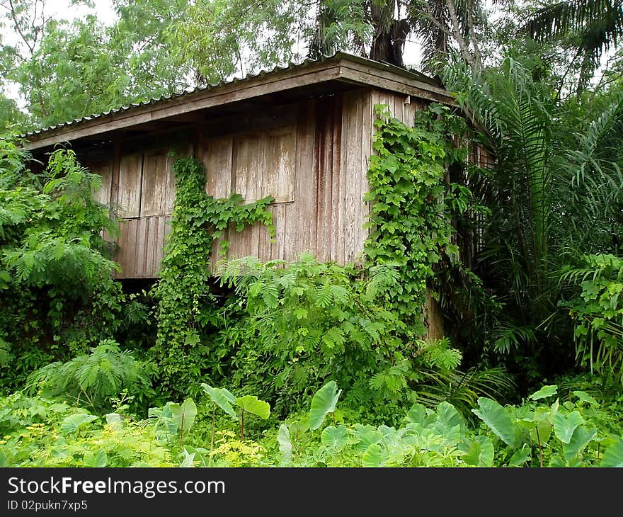 Abandoned house.