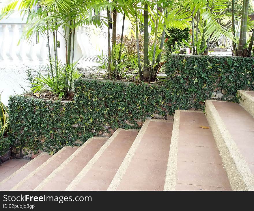 Beautiful stairway near the building .It was decorated with green plant.