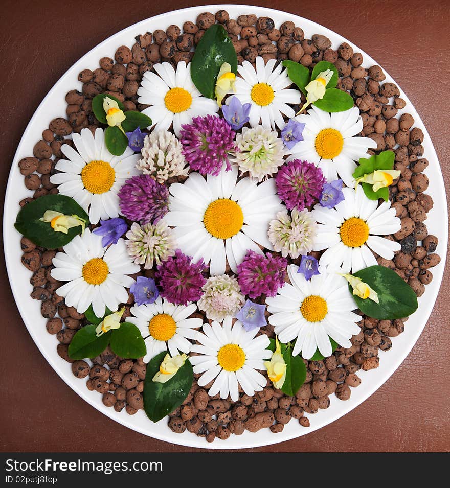 Still life from flower put on white plate with brown ball