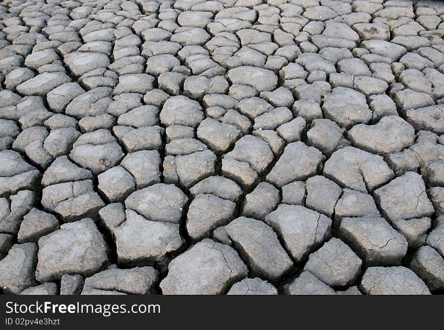 Dried land in the nature. Dried land in the nature