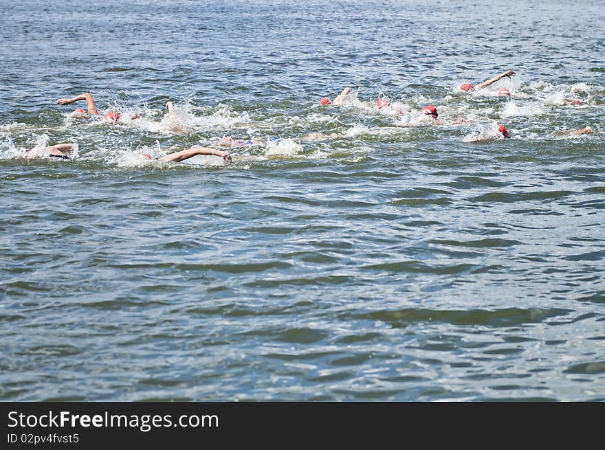 Group of people at swimming competition. Group of people at swimming competition