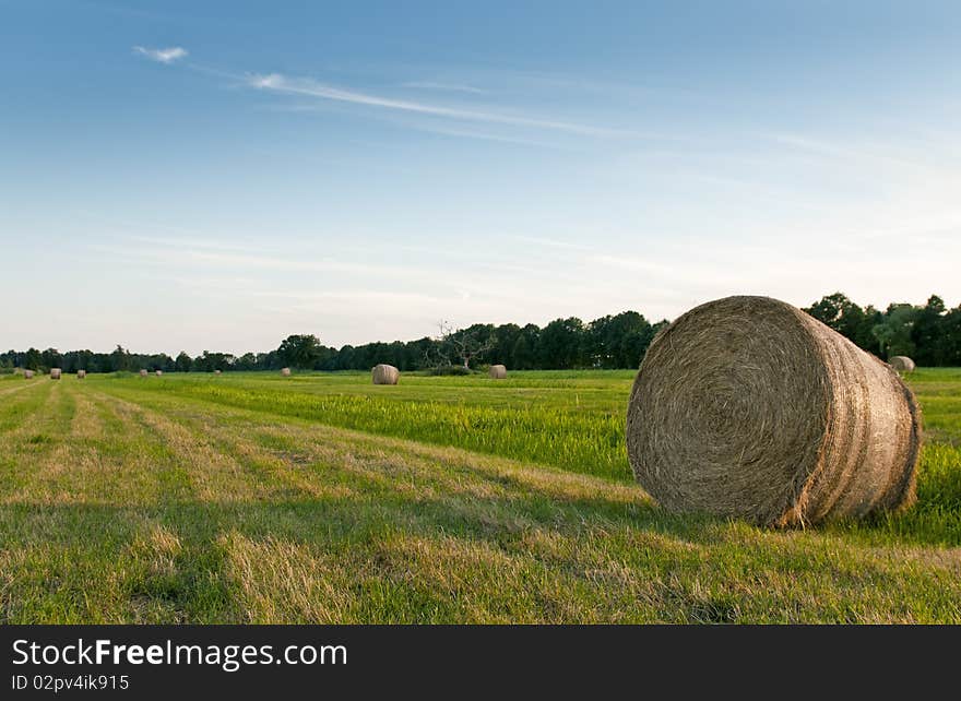 Field With Hay Bale Roll