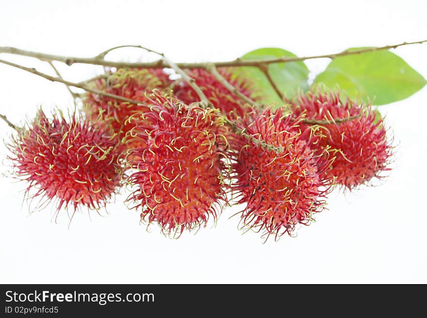 Bunch of rambutans is asean fruit