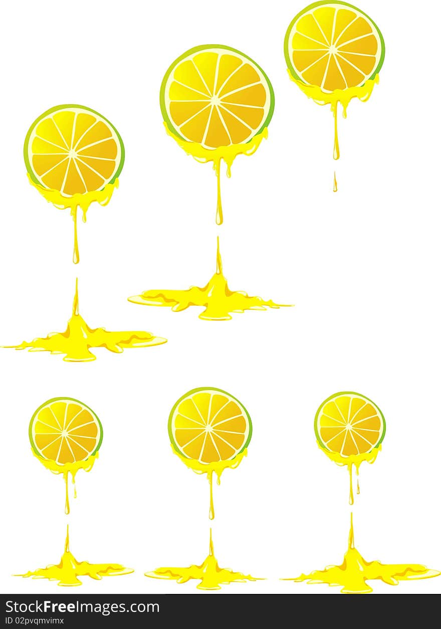 Stilyzed vector lemon clove