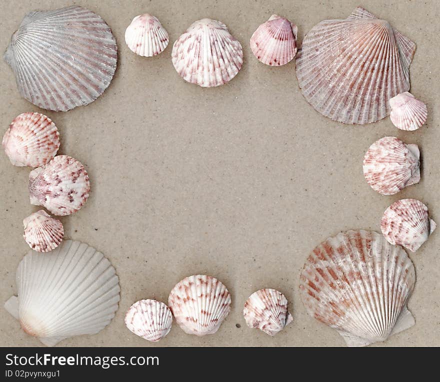 Natural scallops creating a frame with soft-focus sand background. Natural scallops creating a frame with soft-focus sand background.