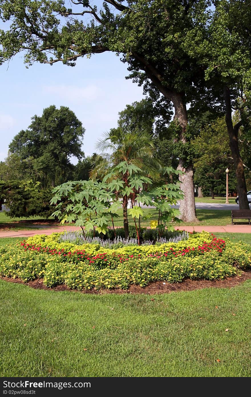 Flowered landscape in city park