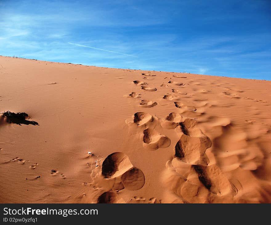 Footsteps in Sand Dune